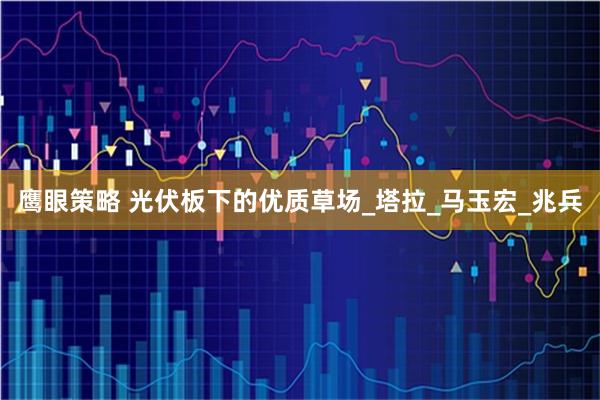 鹰眼策略 光伏板下的优质草场_塔拉_马玉宏_兆兵