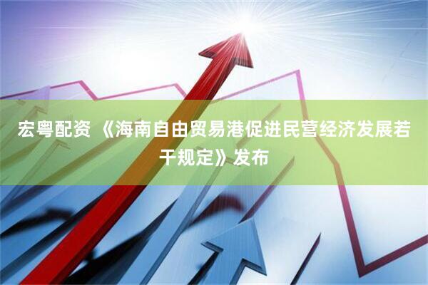 宏粤配资 《海南自由贸易港促进民营经济发展若干规定》发布