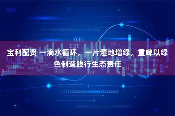 宝利配资 一滴水循环，一片湿地增绿，重啤以绿色制造践行生态责任